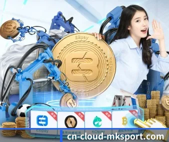 mk体育 APP